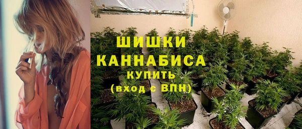 прущие крисы Козельск